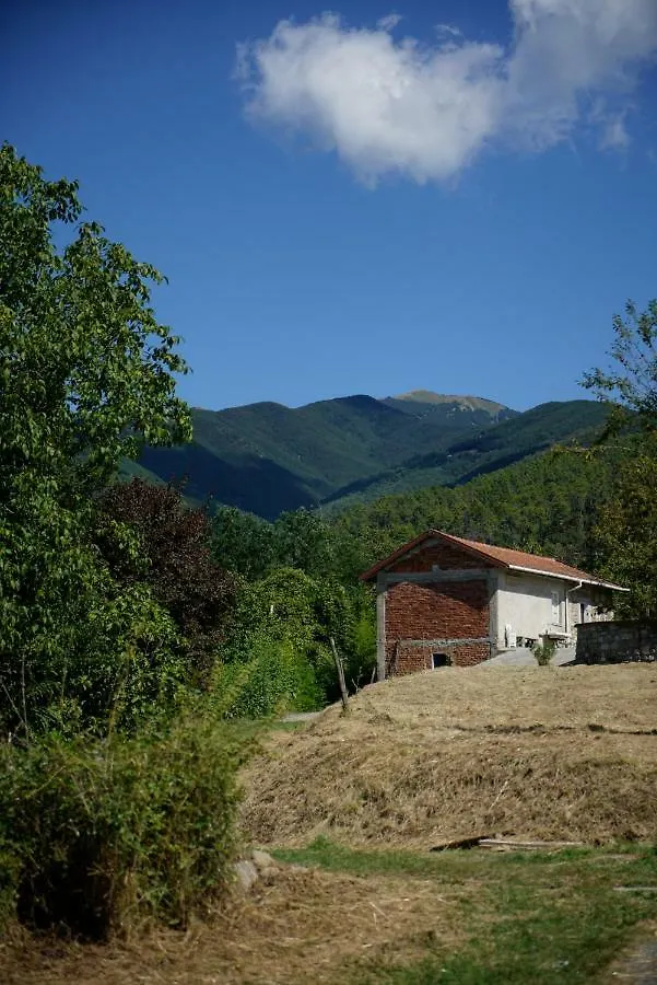 Casa Rio Apartment Sesta Godano